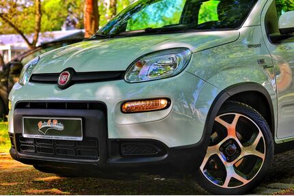 Fiat Panda Gebrauchtwagen