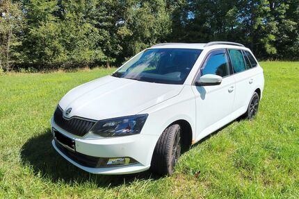 Skoda Fabia Gebrauchtwagen