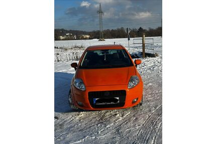 Fiat Punto Gebrauchtwagen