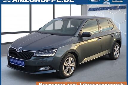 Skoda Fabia Gebrauchtwagen
