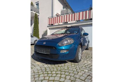 Fiat Punto Gebrauchtwagen