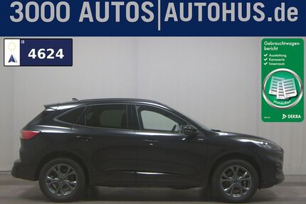 Ford Kuga Gebrauchtwagen