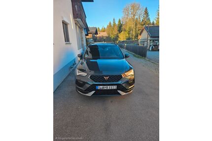Cupra Ateca Gebrauchtwagen
