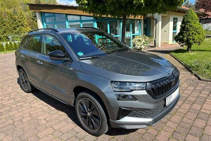 Skoda Karoq Gebrauchtwagen