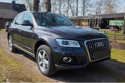 Audi Q5 Gebrauchtwagen