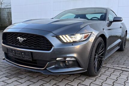 Ford Mustang Gebrauchtwagen
