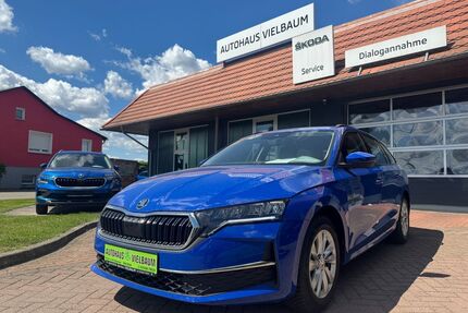 Skoda Octavia Gebrauchtwagen