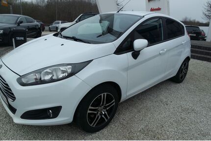 Ford Fiesta Gebrauchtwagen
