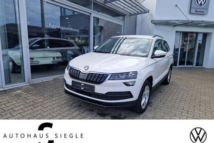Skoda Karoq Gebrauchtwagen