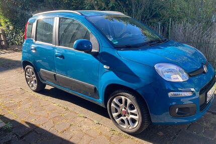 Fiat Panda Gebrauchtwagen