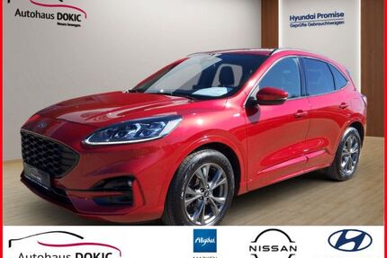 Ford Kuga Gebrauchtwagen