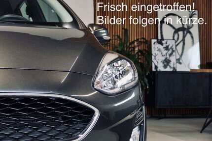 Ford Transit Connect Gebrauchtwagen