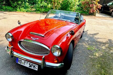 Austin Healey Andere Gebrauchtwagen