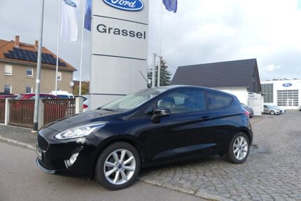 Ford Fiesta Gebrauchtwagen