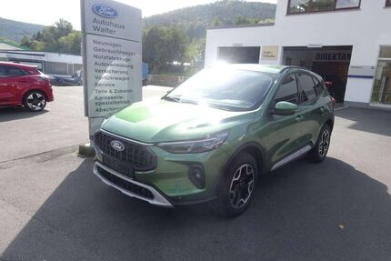 Ford Kuga Gebrauchtwagen