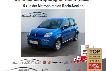 Fiat Panda Gebrauchtwagen