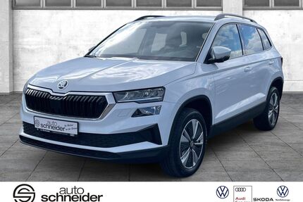 Skoda Karoq Gebrauchtwagen