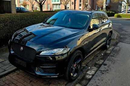 Jaguar F-Pace Gebrauchtwagen