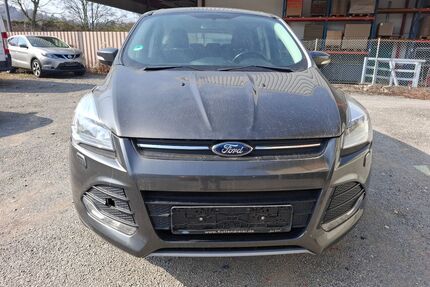 Ford Kuga Gebrauchtwagen
