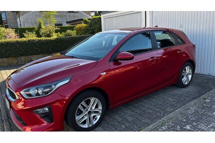 Kia ceed / Ceed Gebrauchtwagen