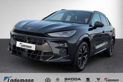 Cupra Terramar Gebrauchtwagen