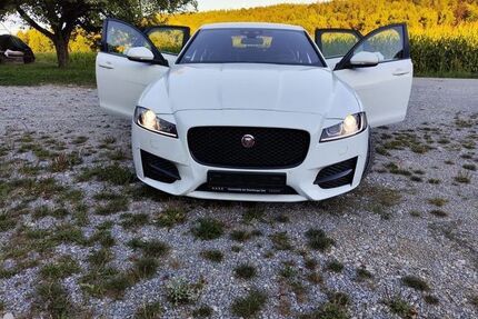 Jaguar XF Gebrauchtwagen