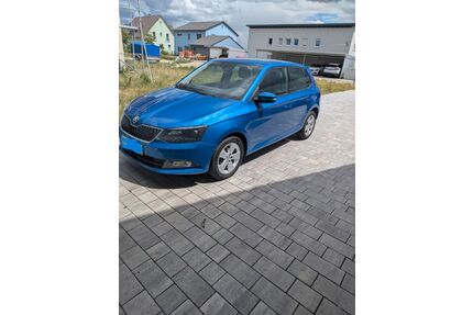 Skoda Fabia Gebrauchtwagen