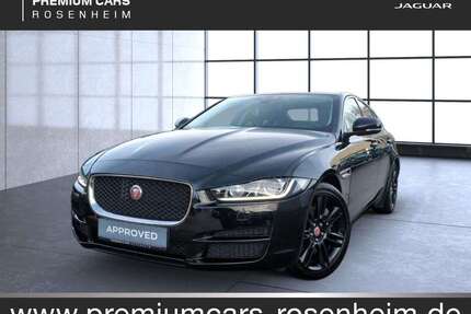 Jaguar XE Gebrauchtwagen