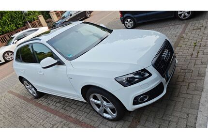 Audi Q5 Gebrauchtwagen