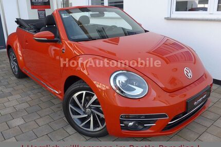 VW Beetle Gebrauchtwagen