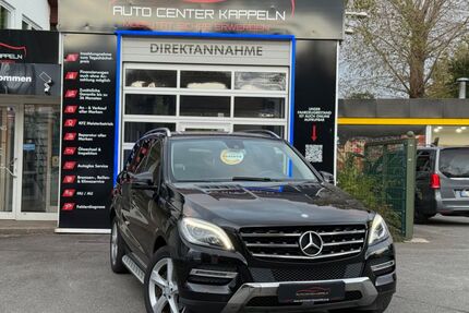 Mercedes-Benz ML 250 Gebrauchtwagen