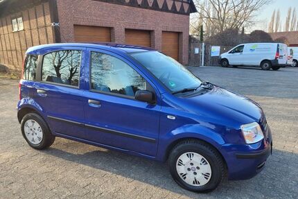 Fiat Panda Gebrauchtwagen
