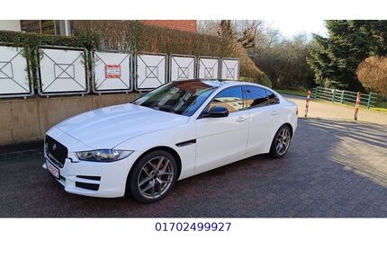 Jaguar XE Gebrauchtwagen