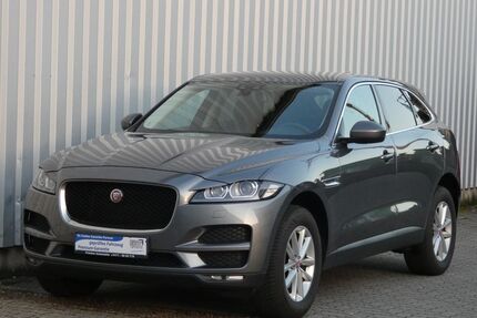 Jaguar F-Pace Gebrauchtwagen