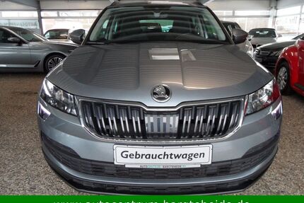 Skoda Karoq Gebrauchtwagen