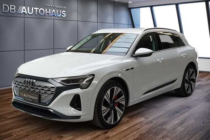 Audi Q8 e-tron Gebrauchtwagen