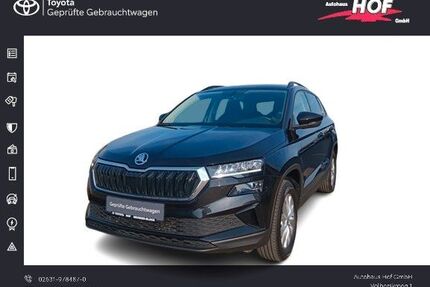 Skoda Karoq Gebrauchtwagen