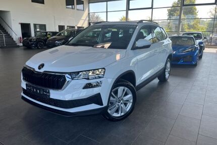 Skoda Karoq Gebrauchtwagen