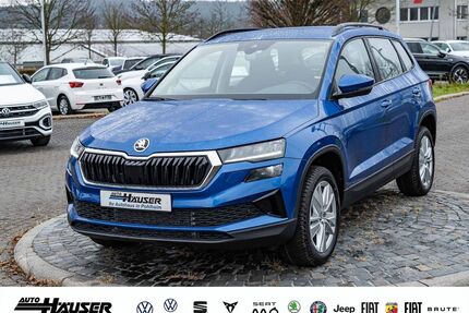 Skoda Karoq Gebrauchtwagen