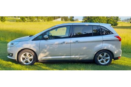 Ford C-Max Gebrauchtwagen