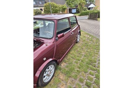 Austin Rover Andere Gebrauchtwagen
