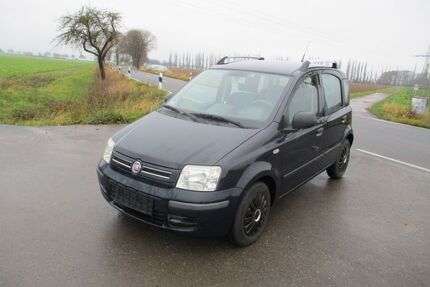 Fiat Panda Gebrauchtwagen