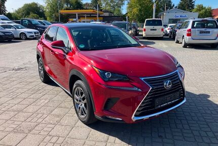 Lexus NX 300 Gebrauchtwagen