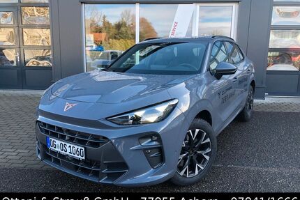 Cupra Terramar Gebrauchtwagen