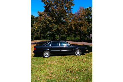 Audi V8 Gebrauchtwagen