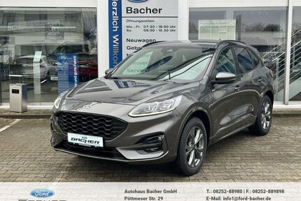 Ford Kuga Gebrauchtwagen