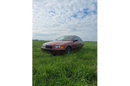 BMW 318 Gebrauchtwagen