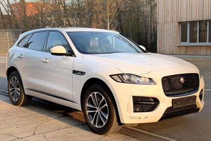 Jaguar F-Pace Gebrauchtwagen