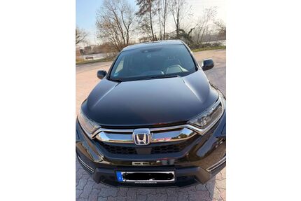Honda CR-V Gebrauchtwagen
