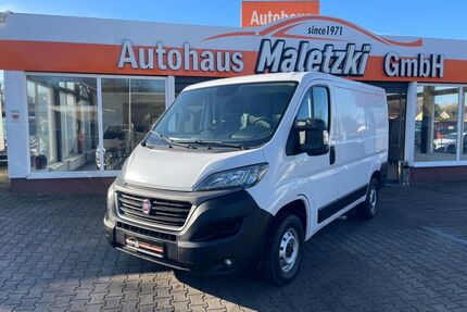 Fiat Ducato Gebrauchtwagen